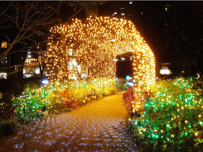 【名古屋市中区・久屋大通公園】ウィンターイルミネーション点灯記念！人気のクラフトビール100円OFFクーポンを公式ホームぺージにて配布中｜エロイーズカフェ名古屋店