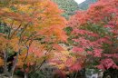 丸山公園1 丸山公園1