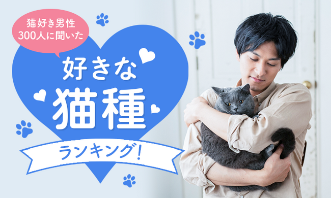 【猫好き男性300人に聞いた】好きな猫種ランキング！