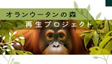 ボルネオ島でオランウータンの森を作る！「オランウータンの森　再生プロジェクト」学生ボランティア　参加者募集