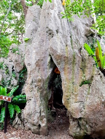 くぐるスポットランキング1位は、沖縄県 国頭村の「大石林山の生まれ変わりの石」
