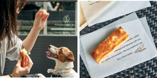 イタリアンベーカリー「プリンチ(R)」 ペットフーディストが監修した犬用フォカッチャ『カーネ フォカッチャ』が初登場！　飼い主さんとワンちゃんが一緒にプリンチ(R)のパンをお楽しみいただける商品が登場