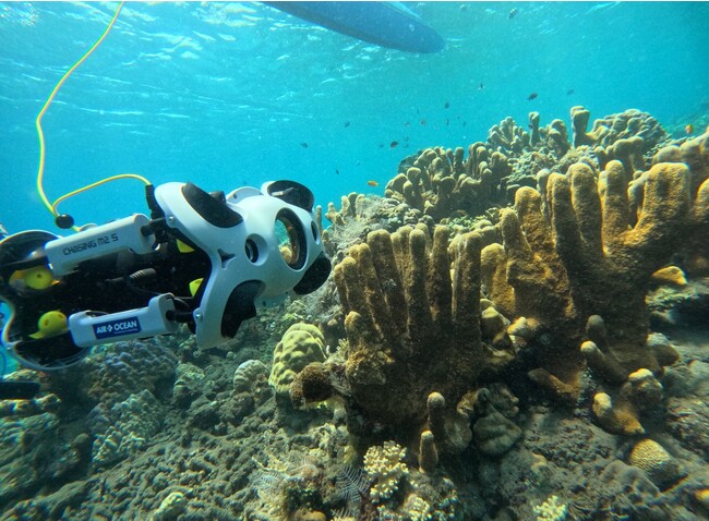 【朗報！】これから水中ドローンの導入をご検討されている方へ！初心者向けのオンラインセミナーを開催します!