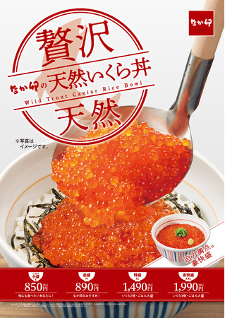 【なか卯】なか卯に「天然いくら丼」が登場！天然いくらをたっぷり味わう“豪快盛”も販売！