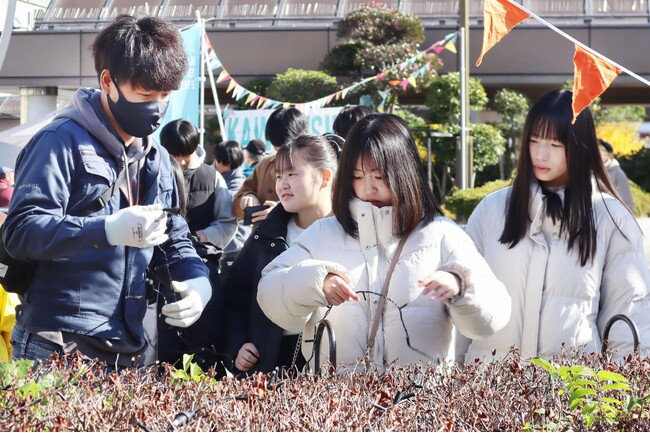 【兵庫県川西市2023】高校生が協力して、駅前を煌めくイルミネーションで飾りつけ