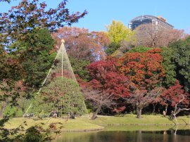 小石川後楽園の様子(11月27日撮影) 小石川後楽園の様子(11月27日撮影)