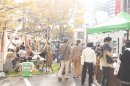 けやき並木通り けやき並木通り