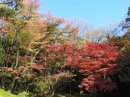 11月27日撮影 11月27日撮影