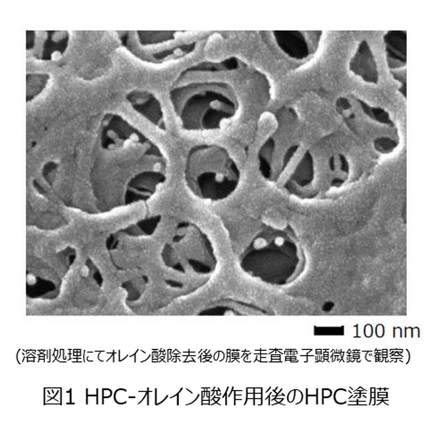 肌あれの新たな原因の解明へ　皮脂中の不飽和脂肪酸*1をトラップする新技術を開発