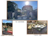 1/2,3【都立8庭園】にて「正月開園」開催！