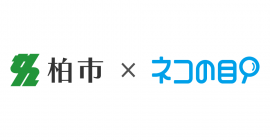 柏市×ネコの目