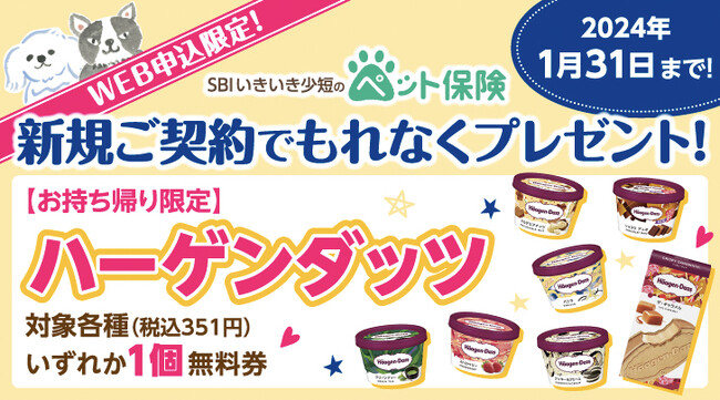 【SBIいきいき少短】ペット保険のWEB申込で「ハーゲンダッツ」をプレゼント！