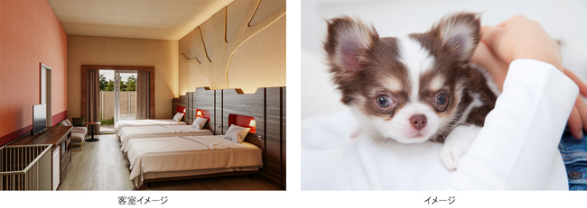 「三井ガーデンホテルプラナ東京ベイ」にて愛犬と一緒に宿泊できる「ドッグフレンドリールーム」を12月1日（金）から予約受付開始
