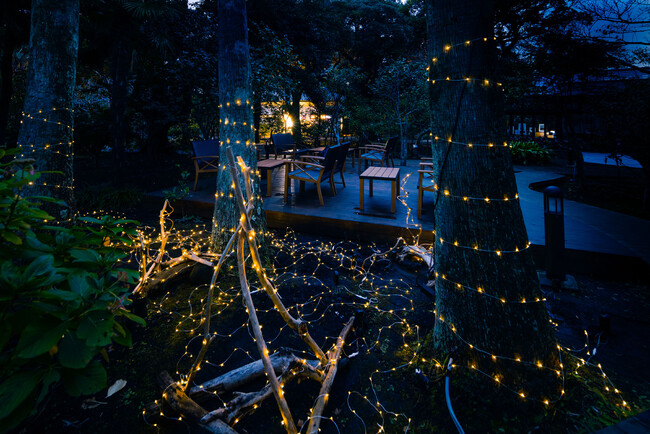 植物発電botanical light（ボタニカルライト）が第一回インターナショナルイルミネーションアワード環境部門にて優秀賞を受賞！
