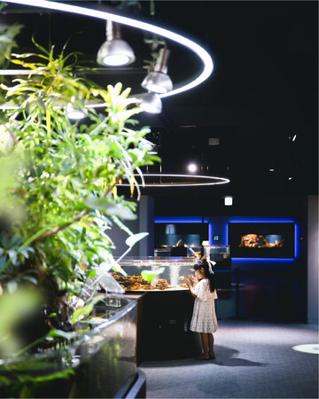 「やっぱり水族館っていいなフォトコンテスト2023」の入賞作品決定！スマートアクアリウム静岡では入賞作品の特別展を開催します！