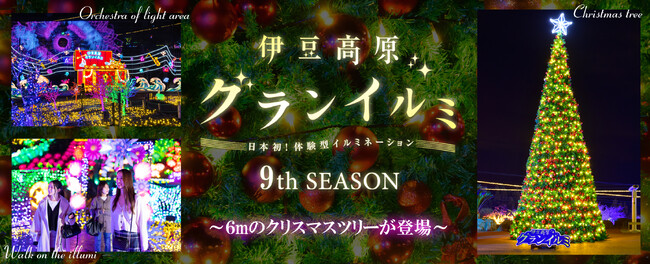 伊豆高原グランイルミに6mの巨大クリスマスツリーが登場！