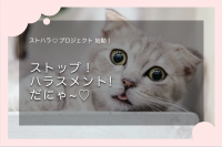 ハラスメントの予防・対策をするプラットフォーム制作のためのクラウドファンディングを12月20日まで実施