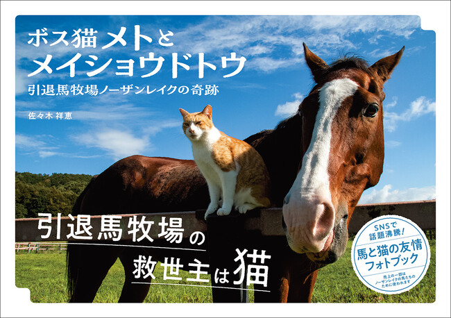 【Amazon本ランキング・全体4位】大人気の元競走馬と猫の友情フォトブック『ボス猫メトとメイショウドトウ 引退馬牧場ノーザンレイクの奇跡』が12月6日（水）に発売