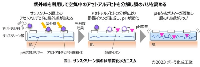時間とともに失われるハリ感を太陽で取り戻す