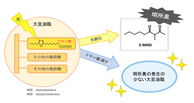 大豆油の長年の課題、光酸化で発生する不快な「明所臭」の原因となる遺伝子を発見