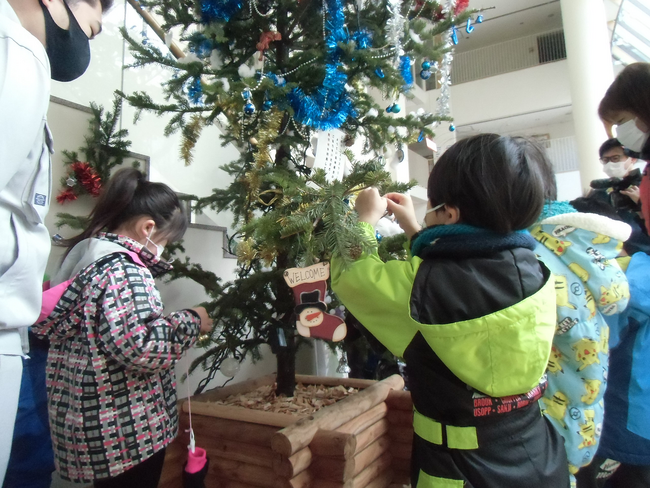 後志産木材を使用したクリスマスツリーを見に来ませんか？