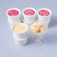 今、話題の松屋銀座『GINZA FROZEN GOURMET』のコーナーに最強のクローザー(デザート)「軽井沢ミノリヤ」の“伝説の霜降りバニラ”が遂に登場(12/13(水)より販売開始)