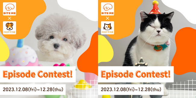 ペット保険比較・相談サービス【MOFFME】が【BITEME】とコラボコンテストを開催
