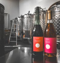 つくばワイナリー、限定の新酒「プリモ・シリーズ」　年末年始から桜の季節までを鮮やかに彩る5種類のワインが続々リリース！