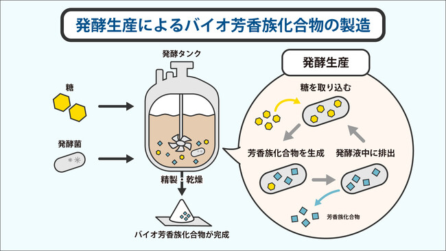 発酵生産*1によるバイオ芳香族化合物「没食子酸」の販売開始、工業的に重要な化学素材を安定供給へ