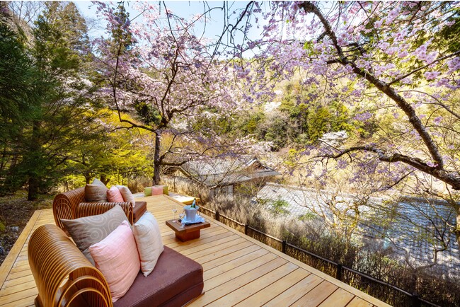 【星のや京都】貸し切りの「花桜テラス」や屋形舟で楽しむ贅沢なお花見「奥嵐山の花見滞在」開催｜期間：2024年3月25日～4月9日