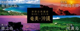 世界自然遺産「奄美・沖縄」WEBサイト 世界自然遺産「奄美・沖縄」WEBサイト