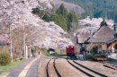 茅葺き屋根駅舎の湯野上温泉駅と桜 茅葺き屋根駅舎の湯野上温泉駅と桜