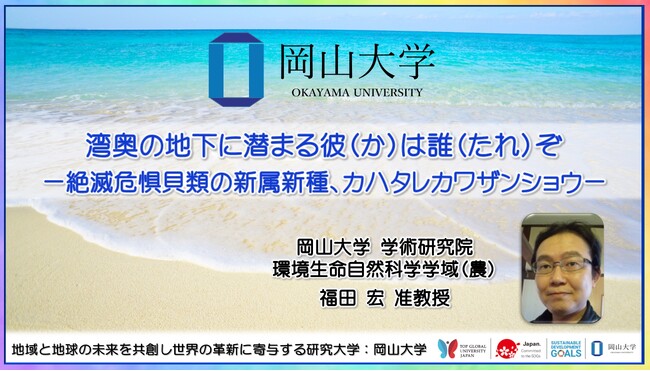 【岡山大学】湾奥の地下に潜まる彼（か）は誰（たれ）ぞ -絶滅危惧貝類の新属新種、カハタレカワザンショウ-