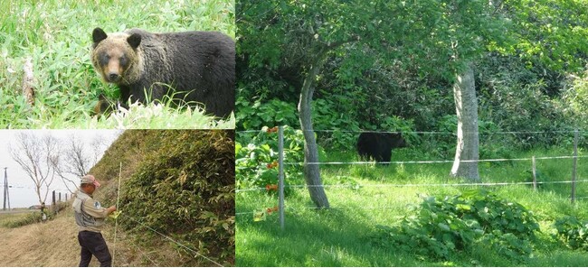 北海道羅臼町とふるさとチョイス、ふるさと納税制度を活用したガバメントクラウドファンディング(R)で、ヒグマから町民を守る電気柵の維持管理費のためのプロジェクトを開始