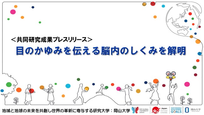 目のかゆみを伝える脳内のしくみを解明〔奈良女子大学、情報・システム研究機構国立遺伝学研究所、長岡技術科学大学、岡山大学〕
