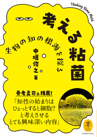 単細胞なのに賢い!? 粘菌を通じて、生物の知的なるものの原型に迫る!　ヤマケイ文庫 『考える粘菌　生物の知の根源を探る』刊行