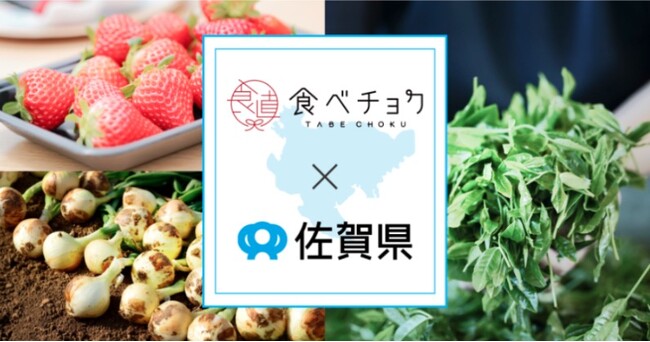 食べチョク、佐賀県と3度目の連携を開始。出品の現地サポートや販売後の梱包アドバイスなど伴走型で生産者の販路拡大を継続支援。