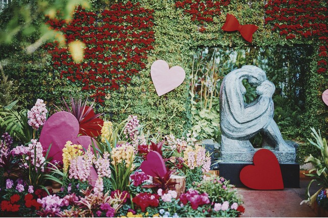 神戸布引ハーブ園で「Winter Garden Fair 2024」を開催。あたたかい温室を中心に、ハートのオブジェやリボン、赤やピンクの花々でディスプレイされた「ほっこり心温まる」ガーデンが登場