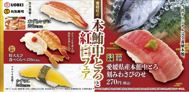 元気寿司自慢の「本鮪中とろ」や「ずわいがに」など1年の締め括り&新年の幕開けにふさわしい贅沢ネタが大集合！『本鮪中とろと紅白フェア』開催