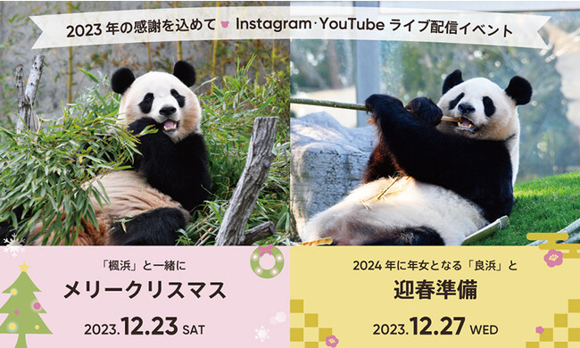 “パンダファミリーと一緒に メリークリスマス＆ハッピーニューイヤー