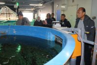 【岡山理科大学】インドネシア政府の訪日団が好適環境水の陸上養殖施設を視察