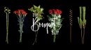 DIY Bouquet BAR DIY Bouquet BAR
