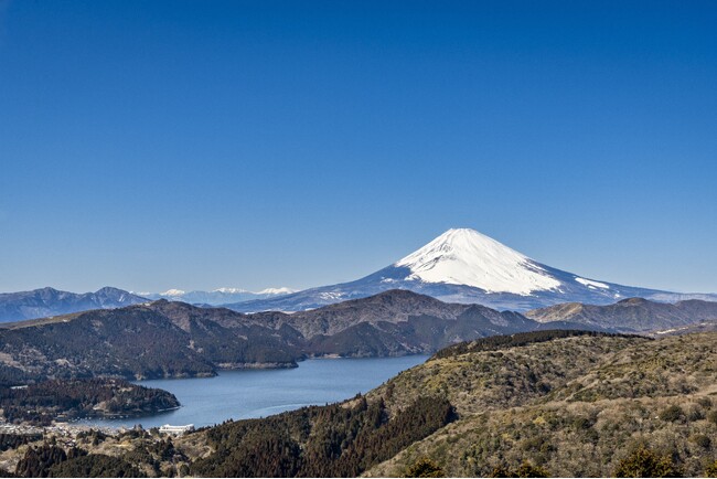 強羅・老舗写真館と連携「箱根×富士山×自然美」フォトギャラリーを開催