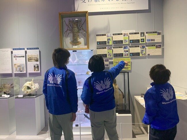 閉館した丹後魚っ知館から譲り受けた標本を展示！期間限定「受け継がれし標本展」【神戸／アトア】