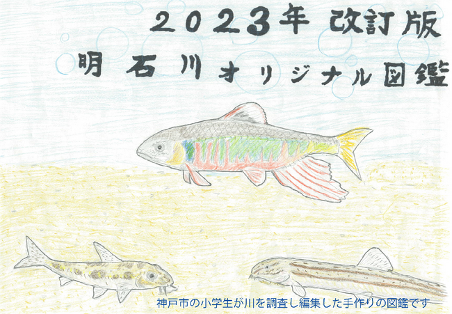 神戸市、小学校の児童や卒業生グループ「玉一アクアリウム」が明石川を調査し作成した「明石川オリジナル図鑑（2023年改訂版）」が完成