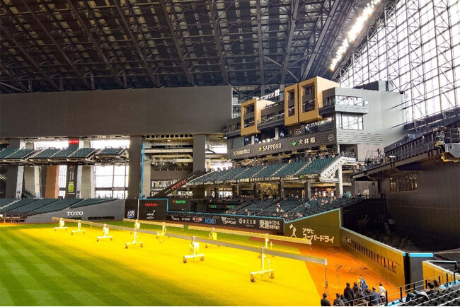 F Village内宿泊施設・tower eleven onsen ＆ sauna 2024年3月 宿泊予約および温浴チケットの予約開始