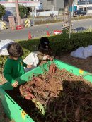 大阪市内で行った収穫体験(1) 大阪市内で行った収穫体験(1)