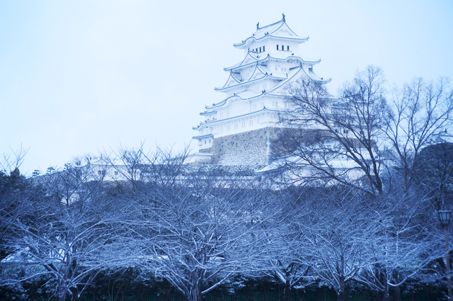 姫路城世界遺産登録30周年記念事業(1月開催分)のお知らせ