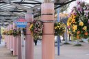 藤枝市駅前ハンギングバスケット設置