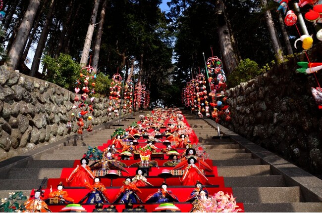 2024年2月開催!素盞鳴(スサノオ)神社雛段飾り&第34回:河津桜まつり